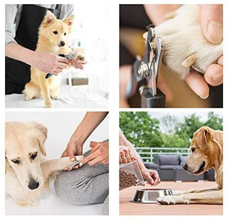 Nail Clipper with Safety Guard