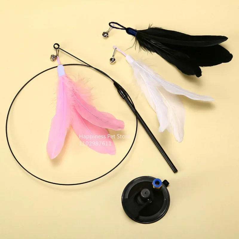 Cat Toy