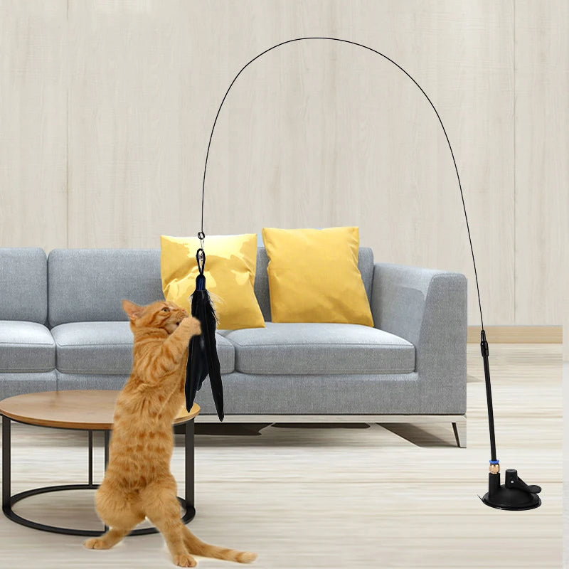 Cat Toy