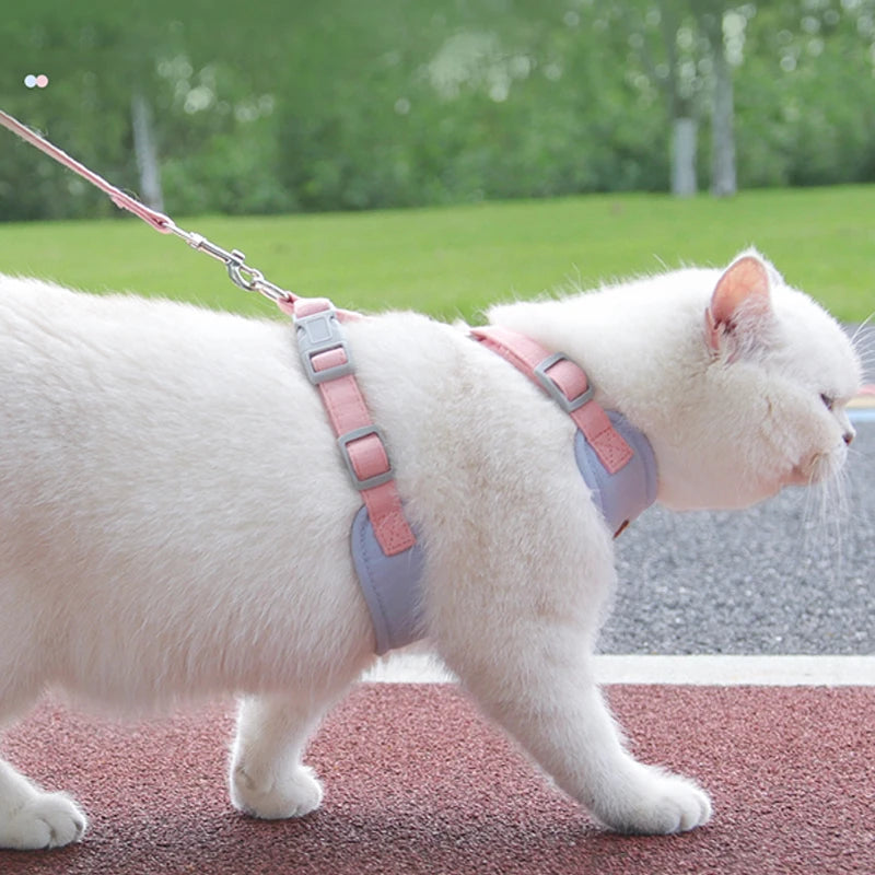 Puppy Harness