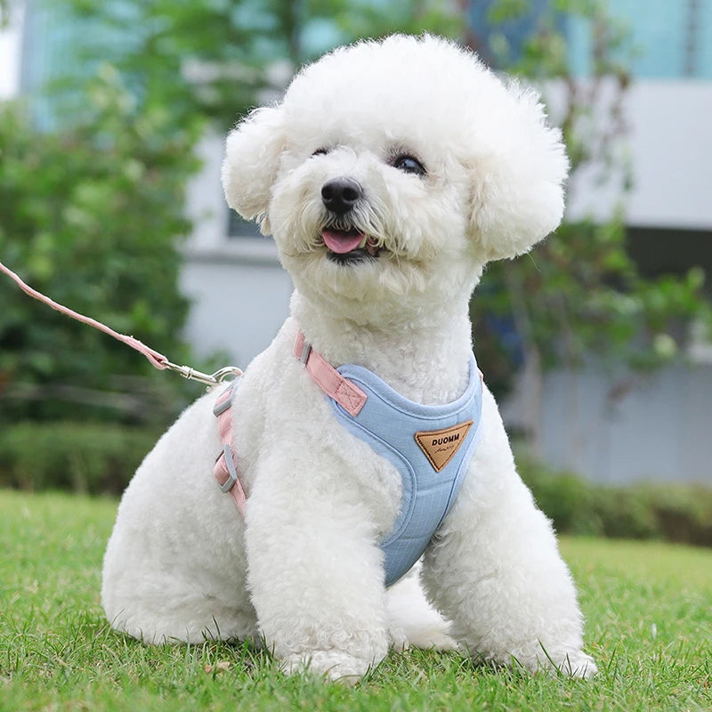 Puppy Harness