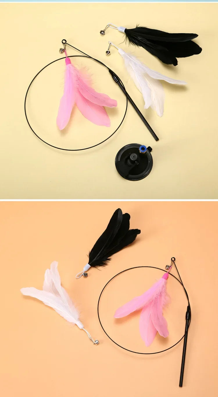 Cat Toy