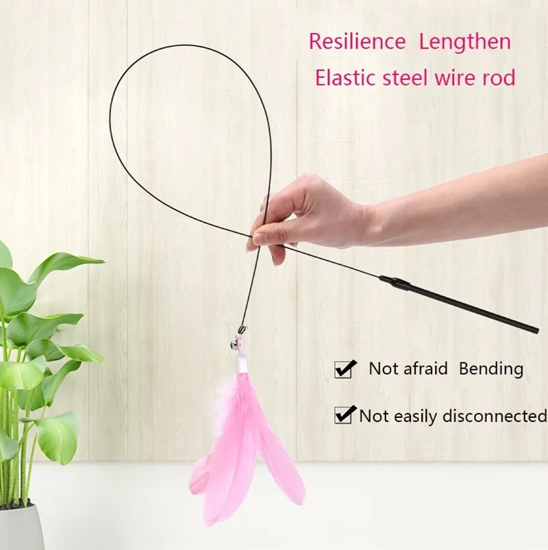 Cat Toy