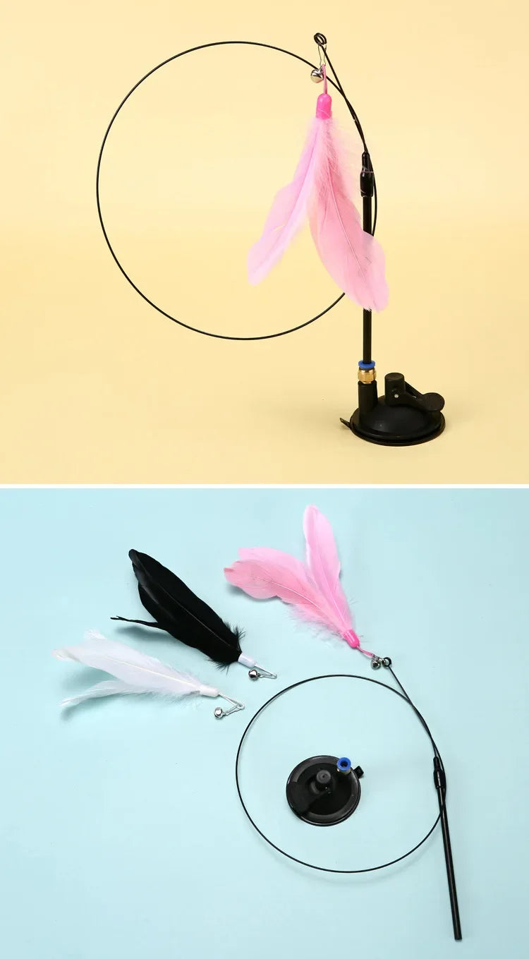 Cat Toy