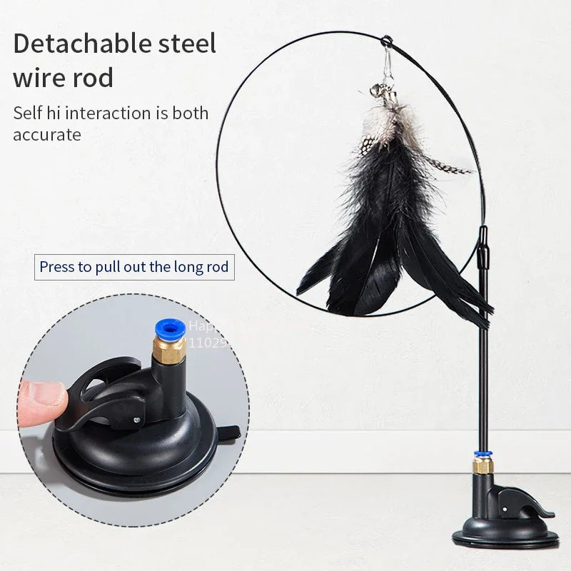 Cat Toy