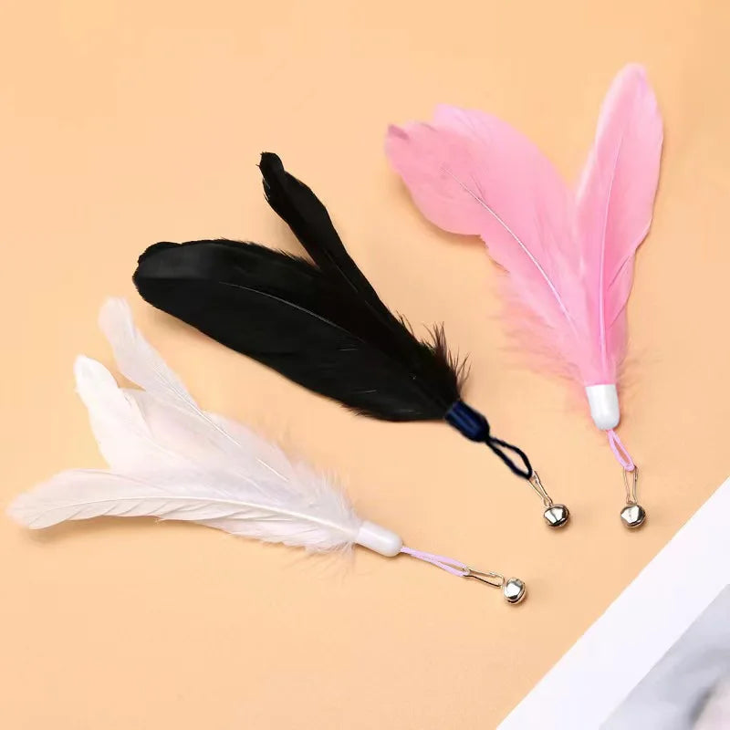 Cat Toy