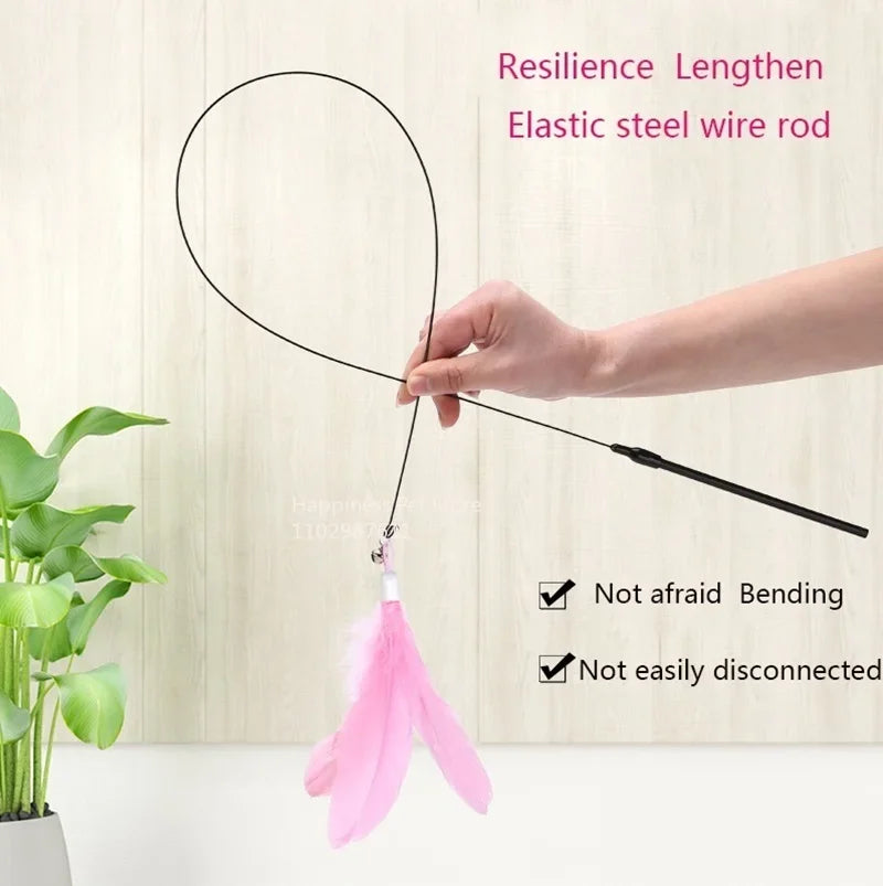 Cat Toy