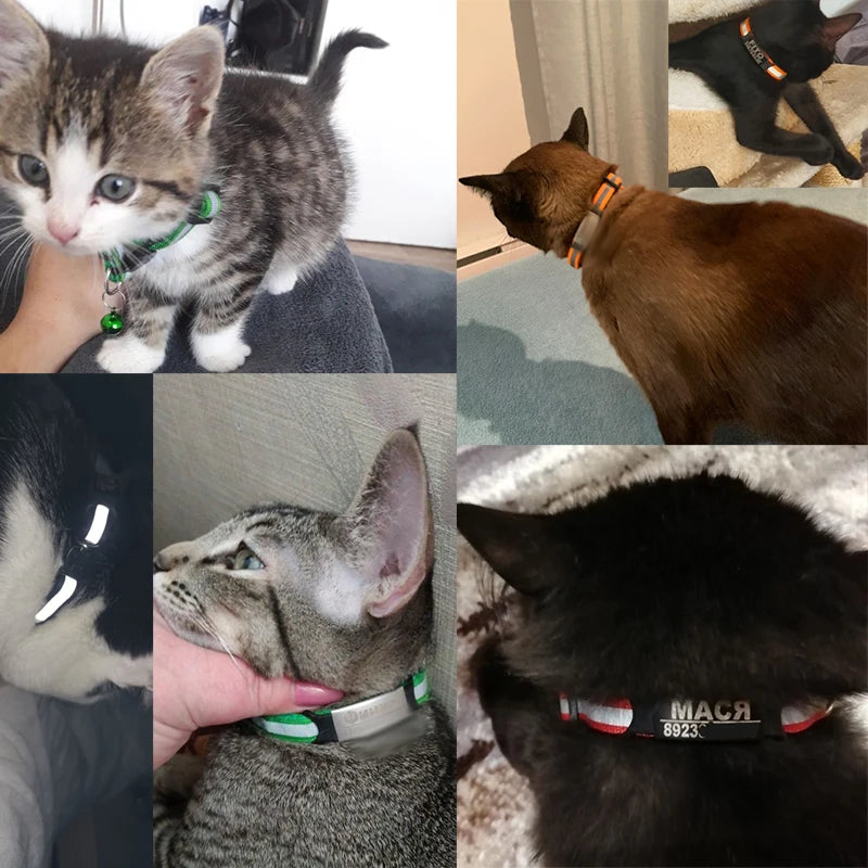 Reflective Cat Safety Collar
