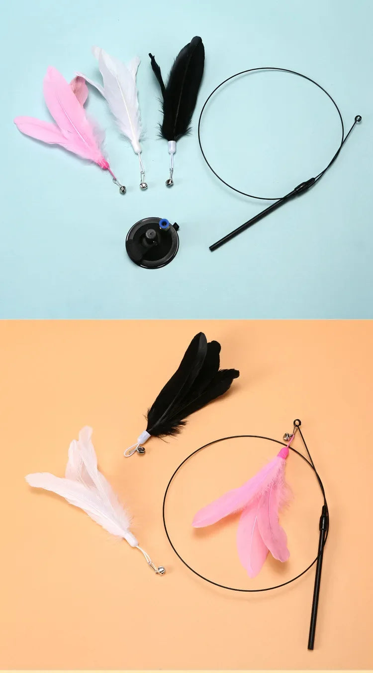 Cat Toy