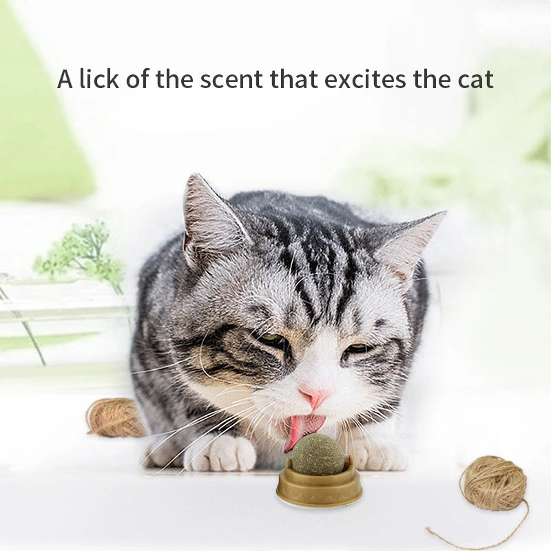 Natural Catnip Cat Wall Stick-on