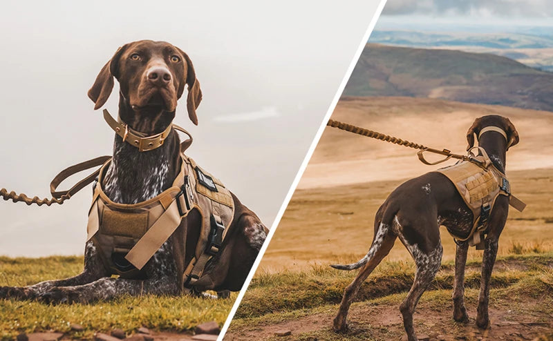 K9 Tactical Military Vest Pet