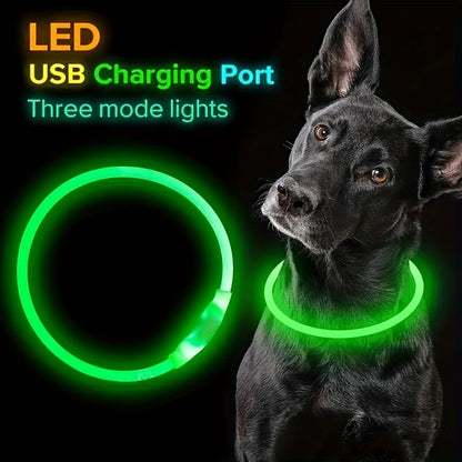 Dog's LED Light Collar