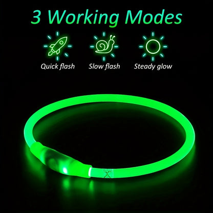 Dog's LED Light Collar