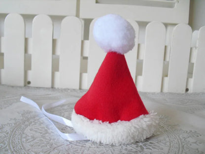 Winter Christmas Pet Costumes