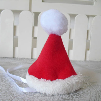Winter Christmas Pet Costumes