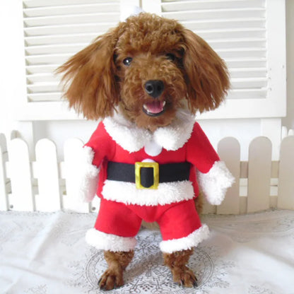 Winter Christmas Pet Costumes