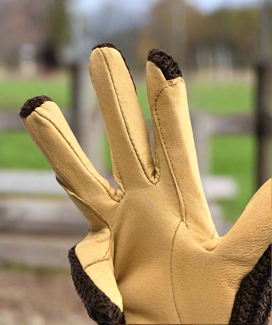 Equestrian Gloves