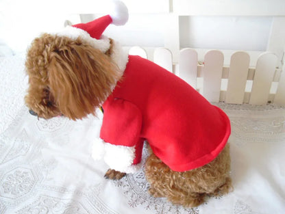 Winter Christmas Pet Costumes