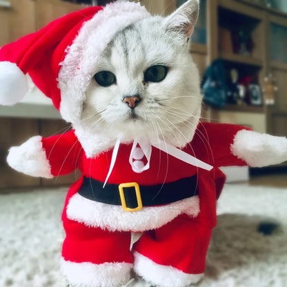 Winter Christmas Pet Costumes