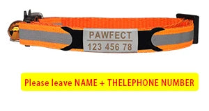 Reflective Cat Safety Collar