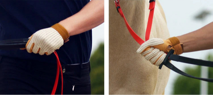 Equestrian Gloves