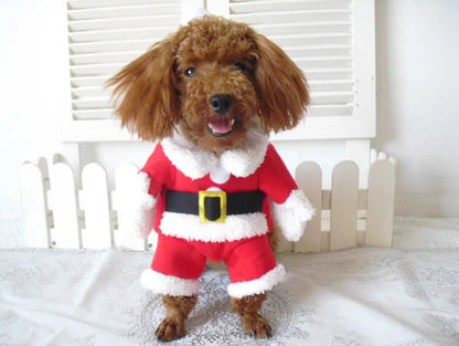 Winter Christmas Pet Costumes