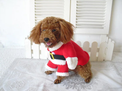 Winter Christmas Pet Costumes