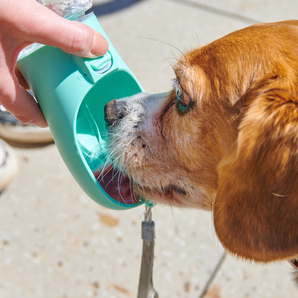 Portable Dog Water Bottle