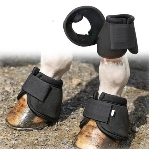 Horse Feet Guards