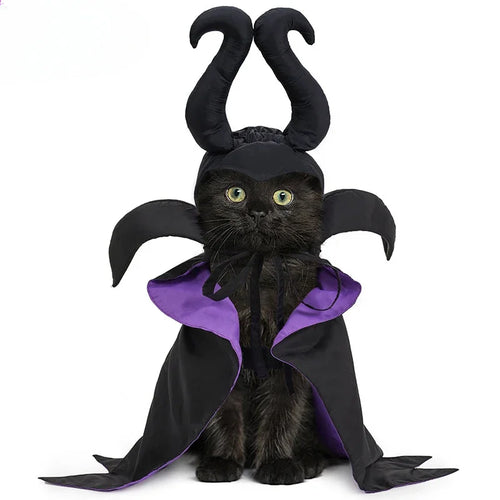Halloween Pet Cloak