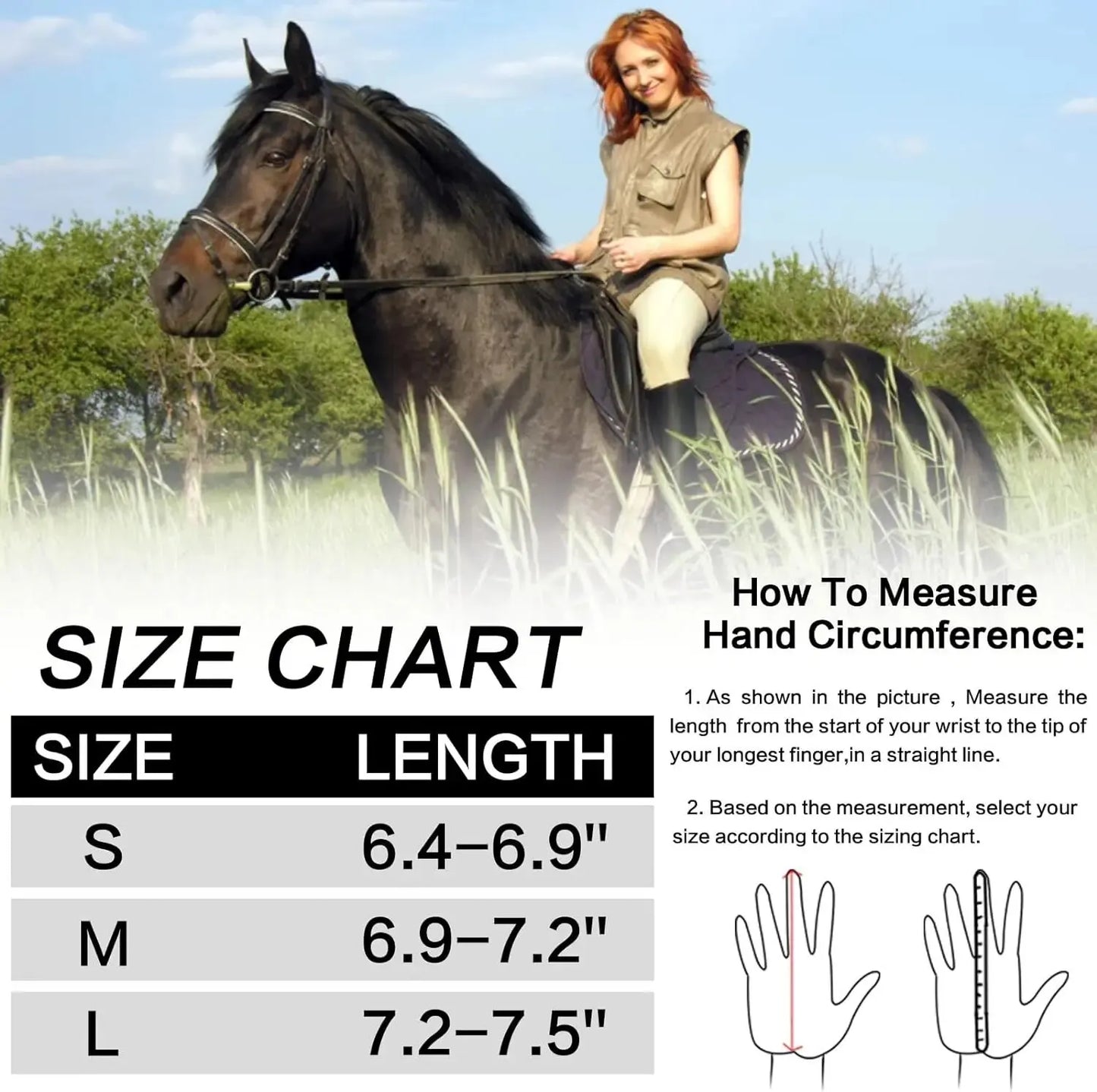 Equestrian Gloves