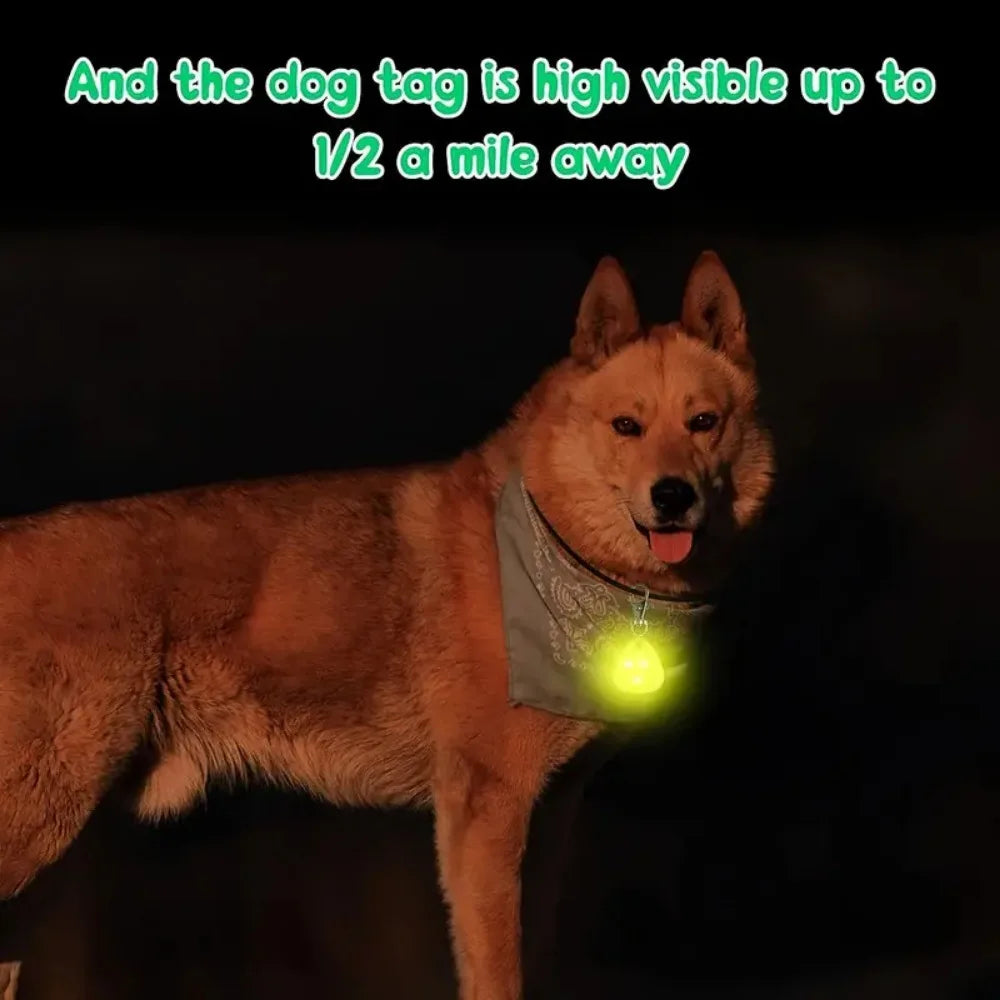LED Pendant Collar Waterproof