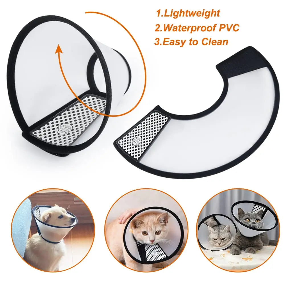 Vivifying Cat Cone