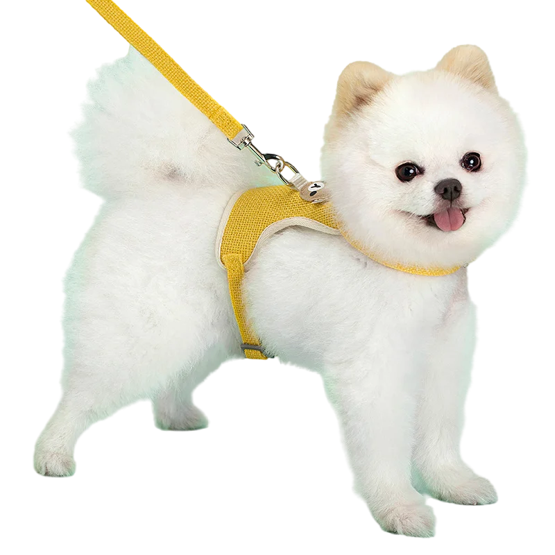 Small Pet Harness