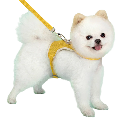 Small Pet Harness