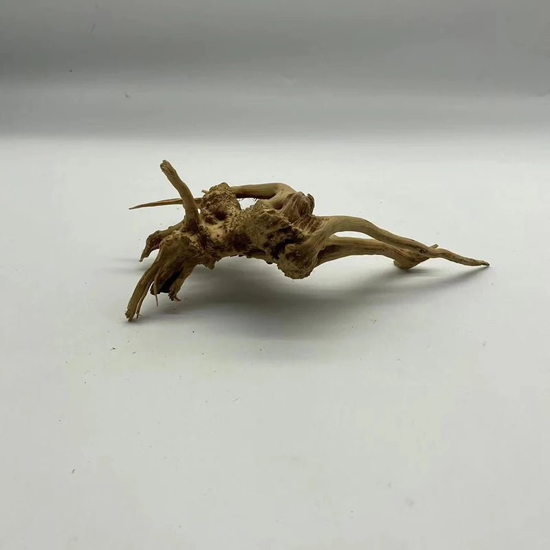 Natural Tree Driftwood Aquarium Decoration