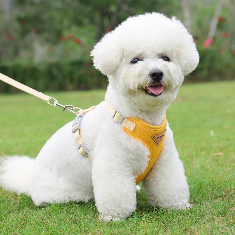 Puppy Harness