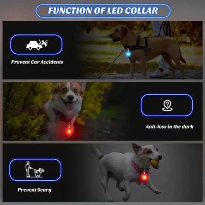 LED Pendant Collar Waterproof
