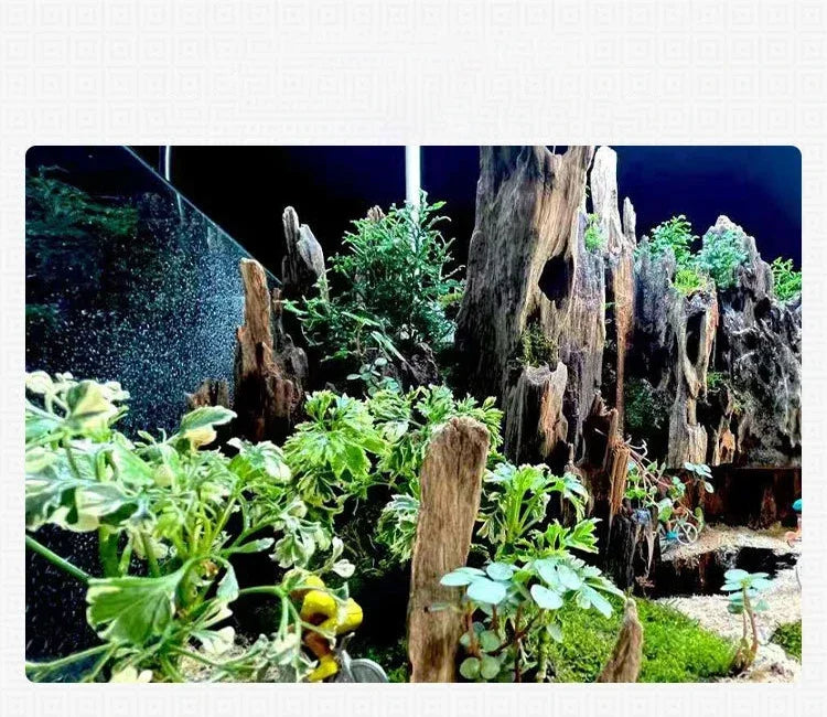Fish Tank Decorations Natural Porous Wooden