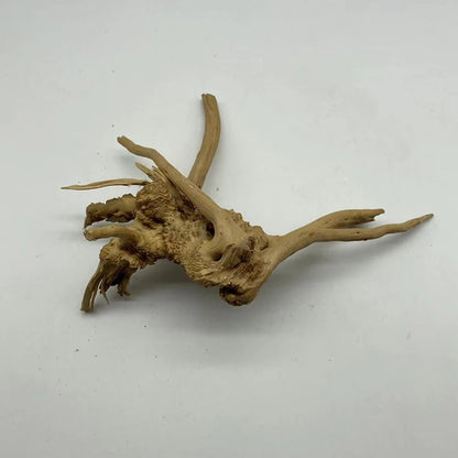 Natural Tree Driftwood Aquarium Decoration