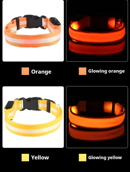 Dog Collar Nylon LED