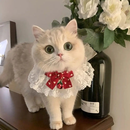 Pearl pet Collar