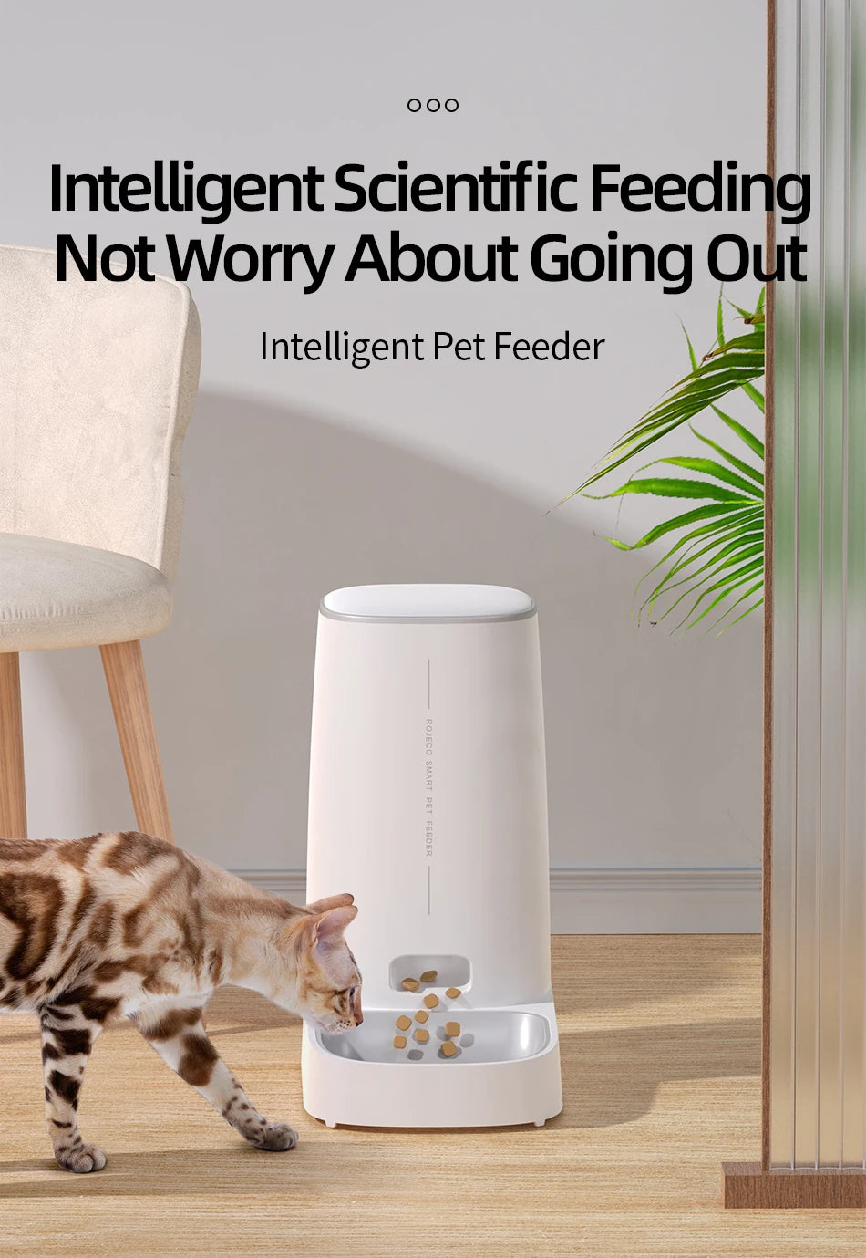 Automatic Pet Feeder