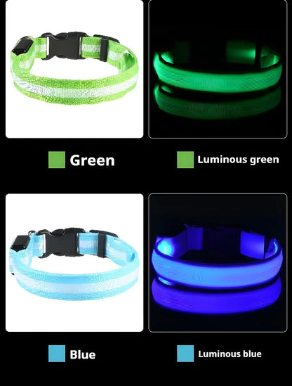 Dog Collar Nylon LED