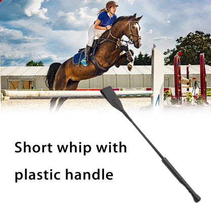 Pointer Equestrian Training