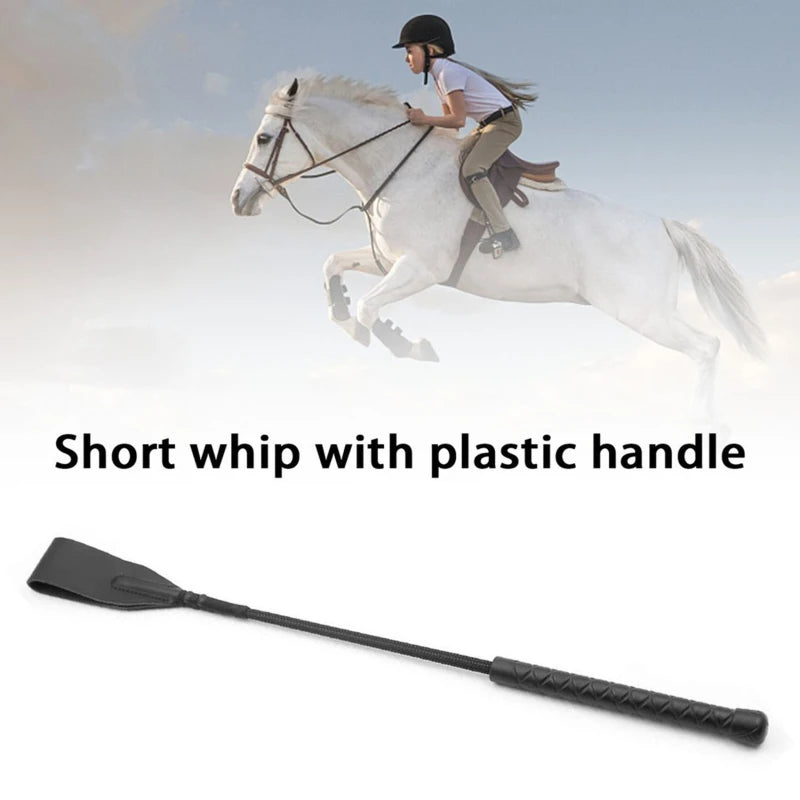 Pointer Equestrian Training