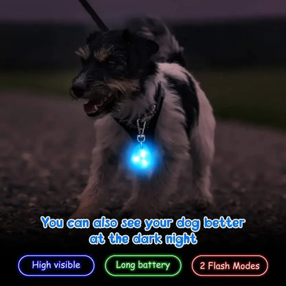 LED Pendant Collar Waterproof