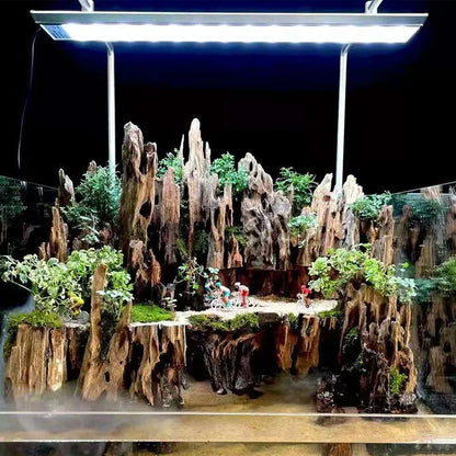 Fish Tank Decorations Natural Porous Wooden