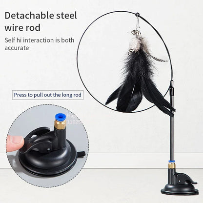 Cat Toy