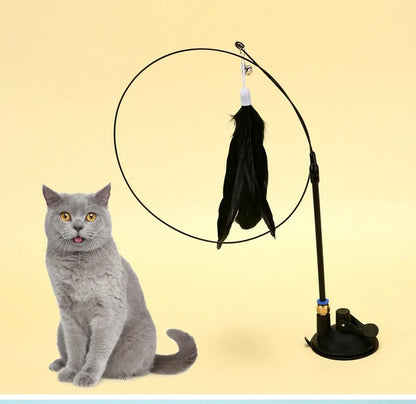 Cat Toy